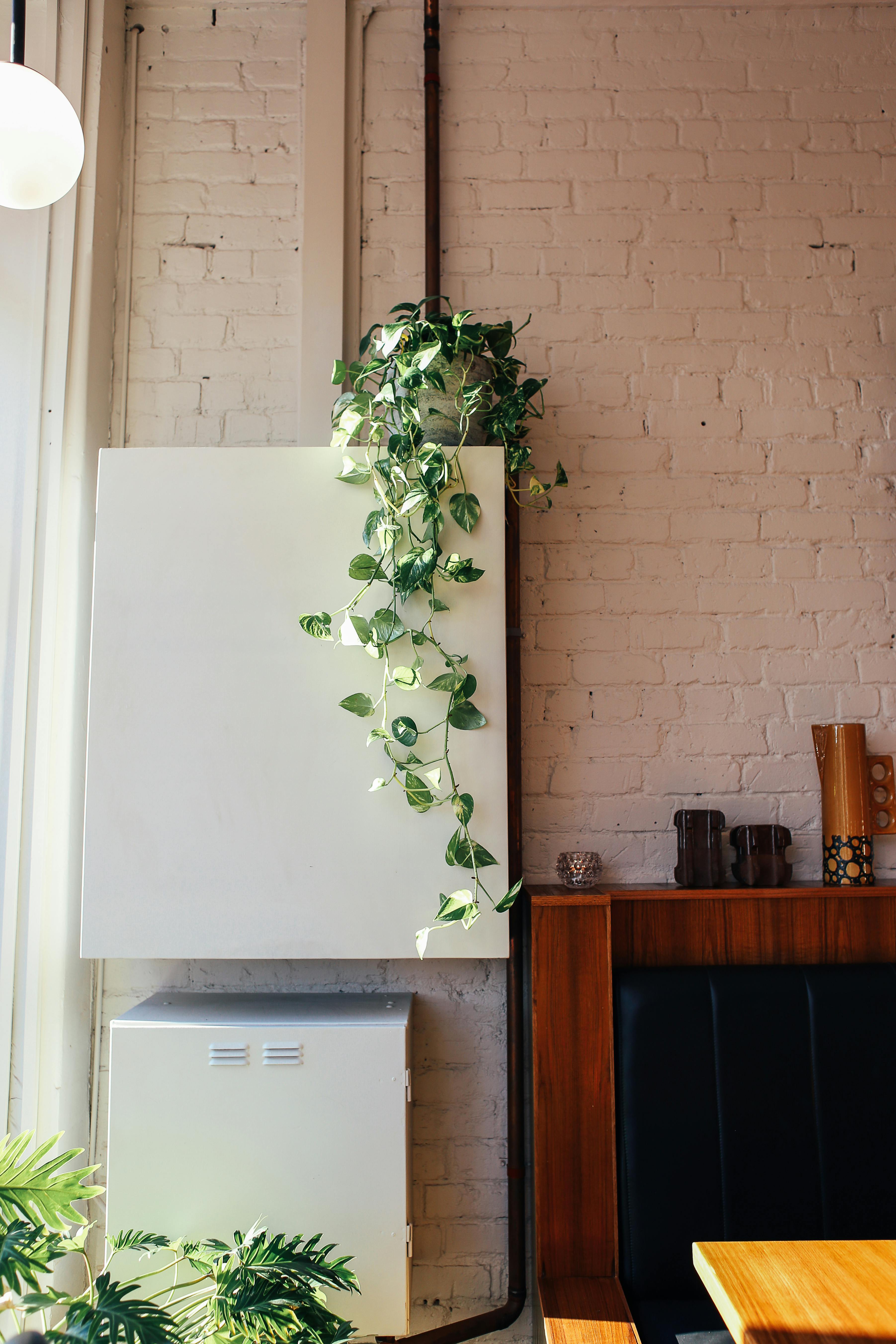 Comida tradicional balcánica