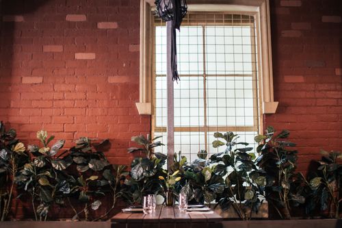 Free Interior of modern cafeteria with glassware on table placed near abundance of lush green plants at brick wall with window Stock Photo
