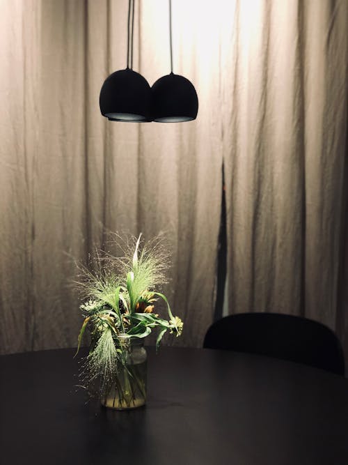 Green Plant on Brown Wooden Surface