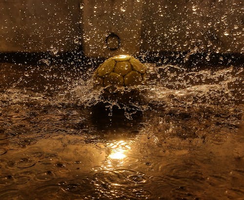 Free stock photo of ball, bare foot, droplets of water
