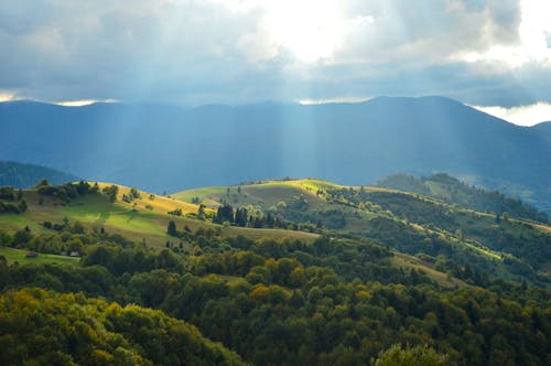 Základová fotografie zdarma na téma hora, krajina, les