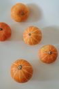 Orange Pumpkins on a White Surface