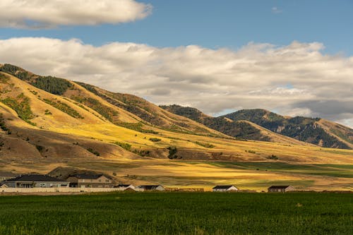 Wide Shot of a Beautiful Landscape