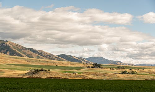 Green Grass Field Under White Clouds