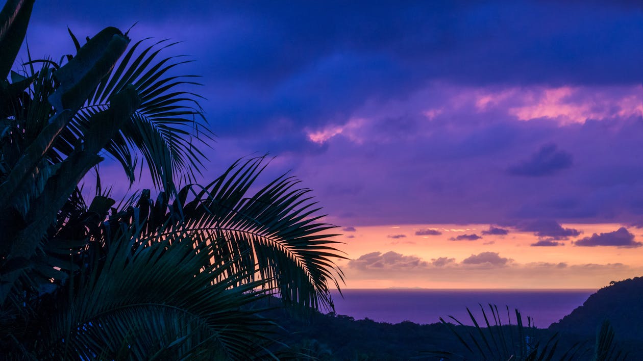 Základová fotografie zdarma na téma fialová, hluboký oceán, horizont