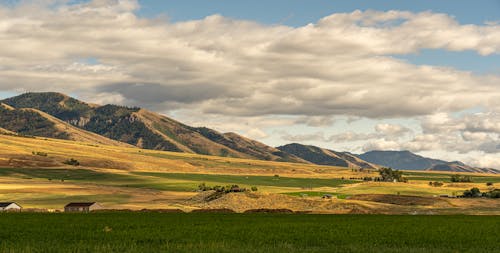 Immagine gratuita di campo, montagne, natura