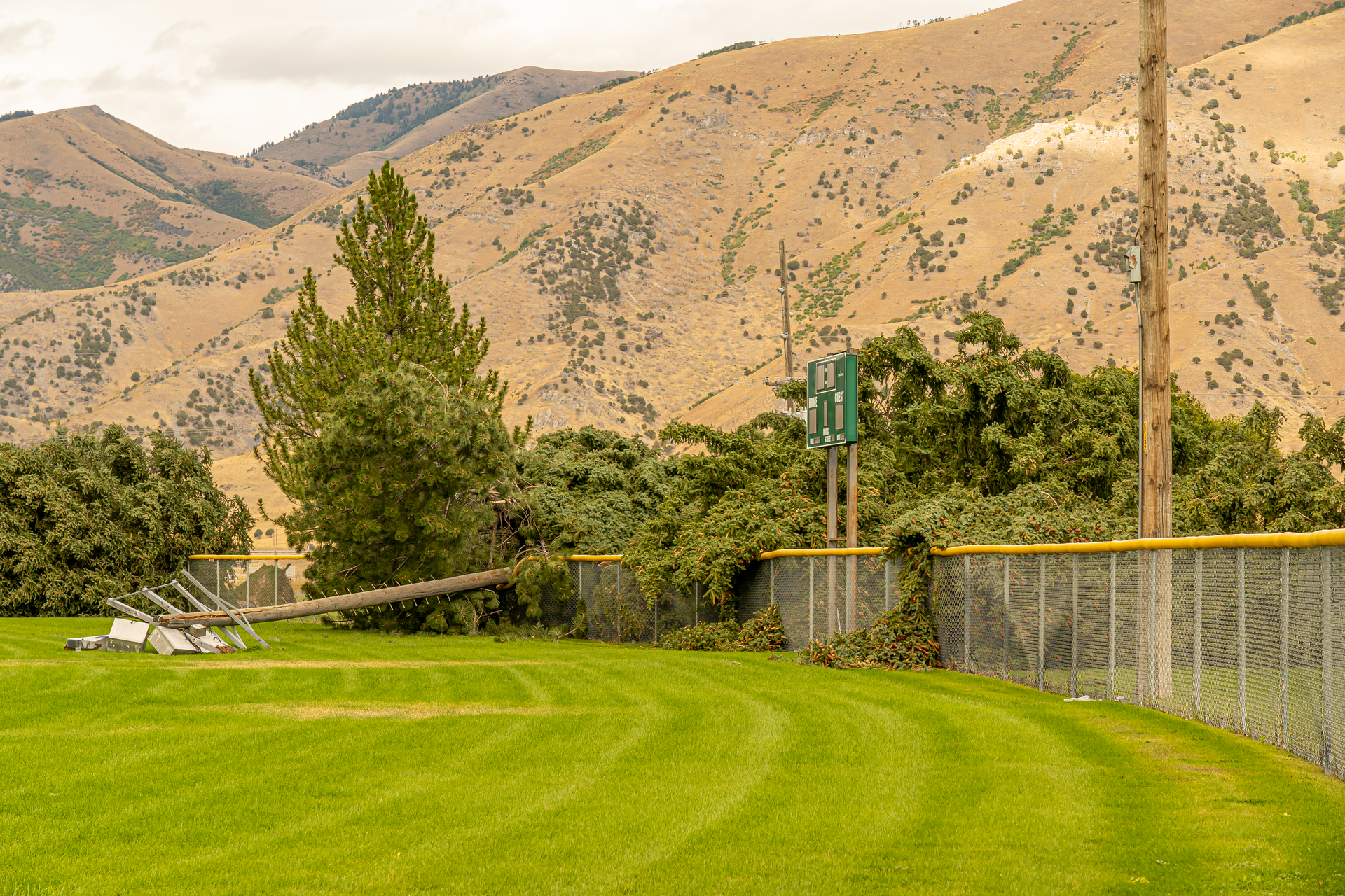 Fallen Stadium Light Post and Trees in a Baseball Field