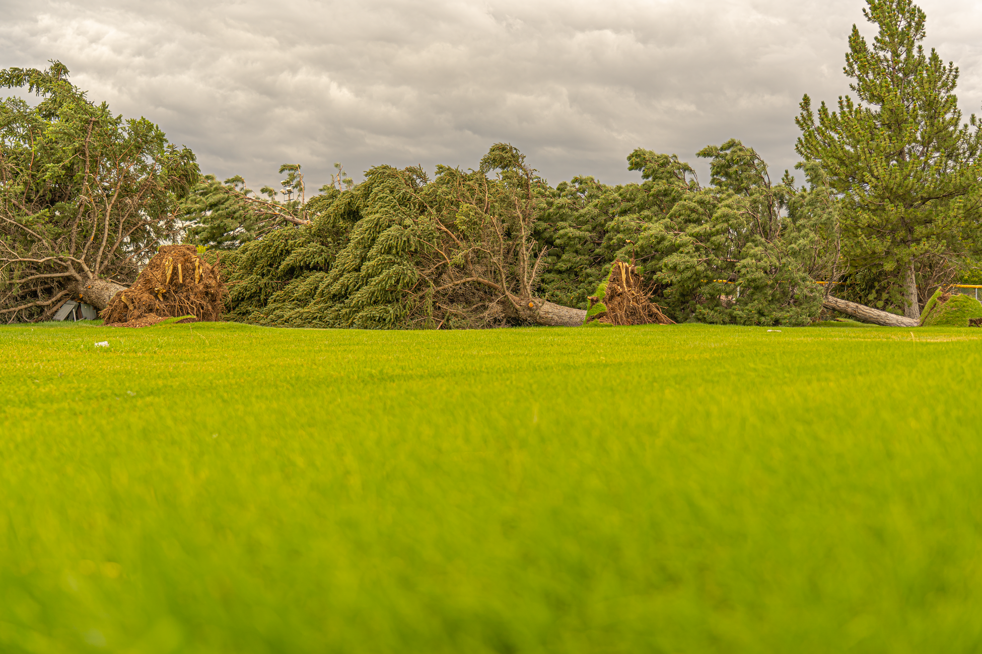 Veendam zwaar getroffen door stormschade