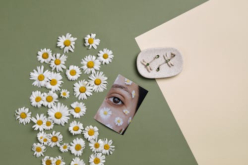 Free A Photo of an Eye Surrounded by Daisies Stock Photo