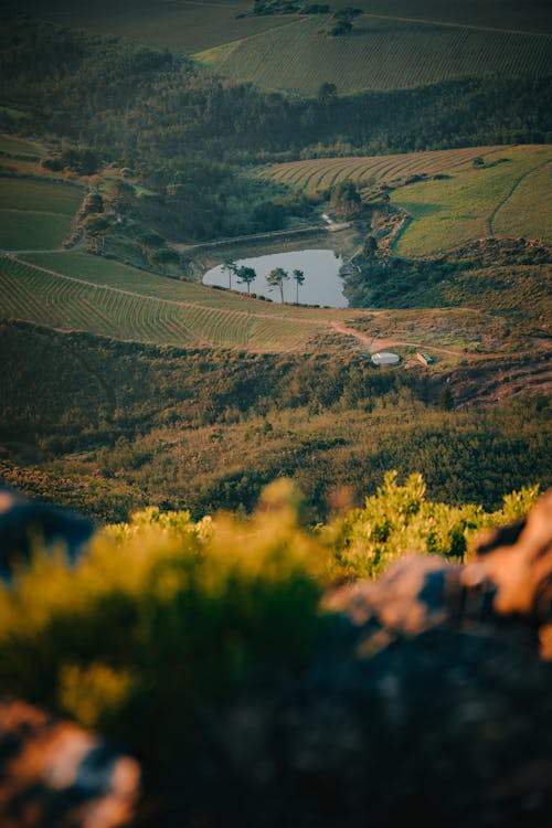 Green Landscape Around the Lake