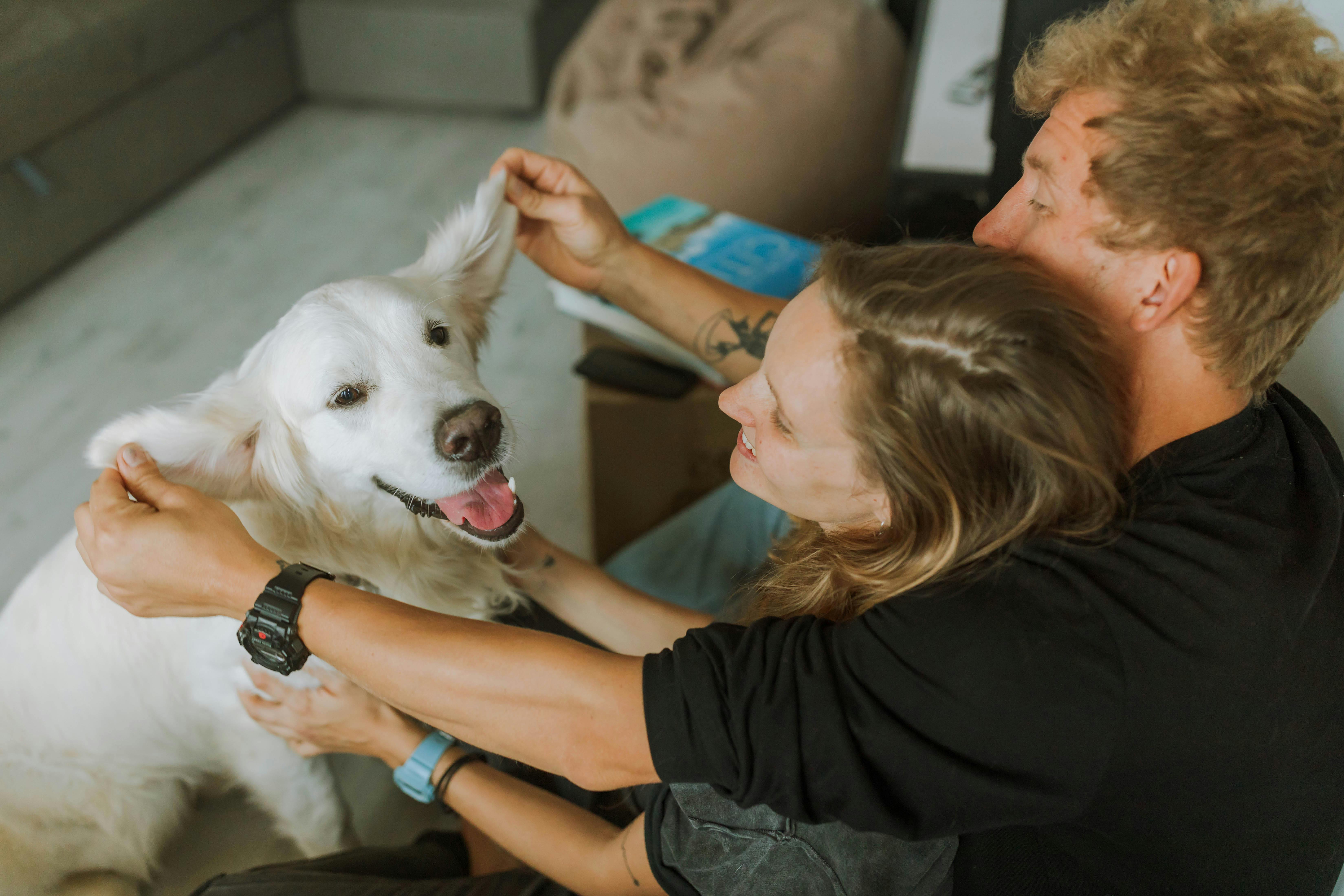 Man and Woman Holding a White Dog