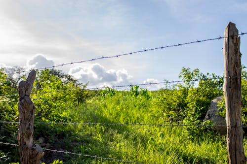 Free stock photo of green, steel fence, wire fence Stock Photo