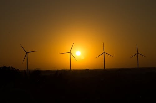 Silhouette of Wind Turbines during Sunset