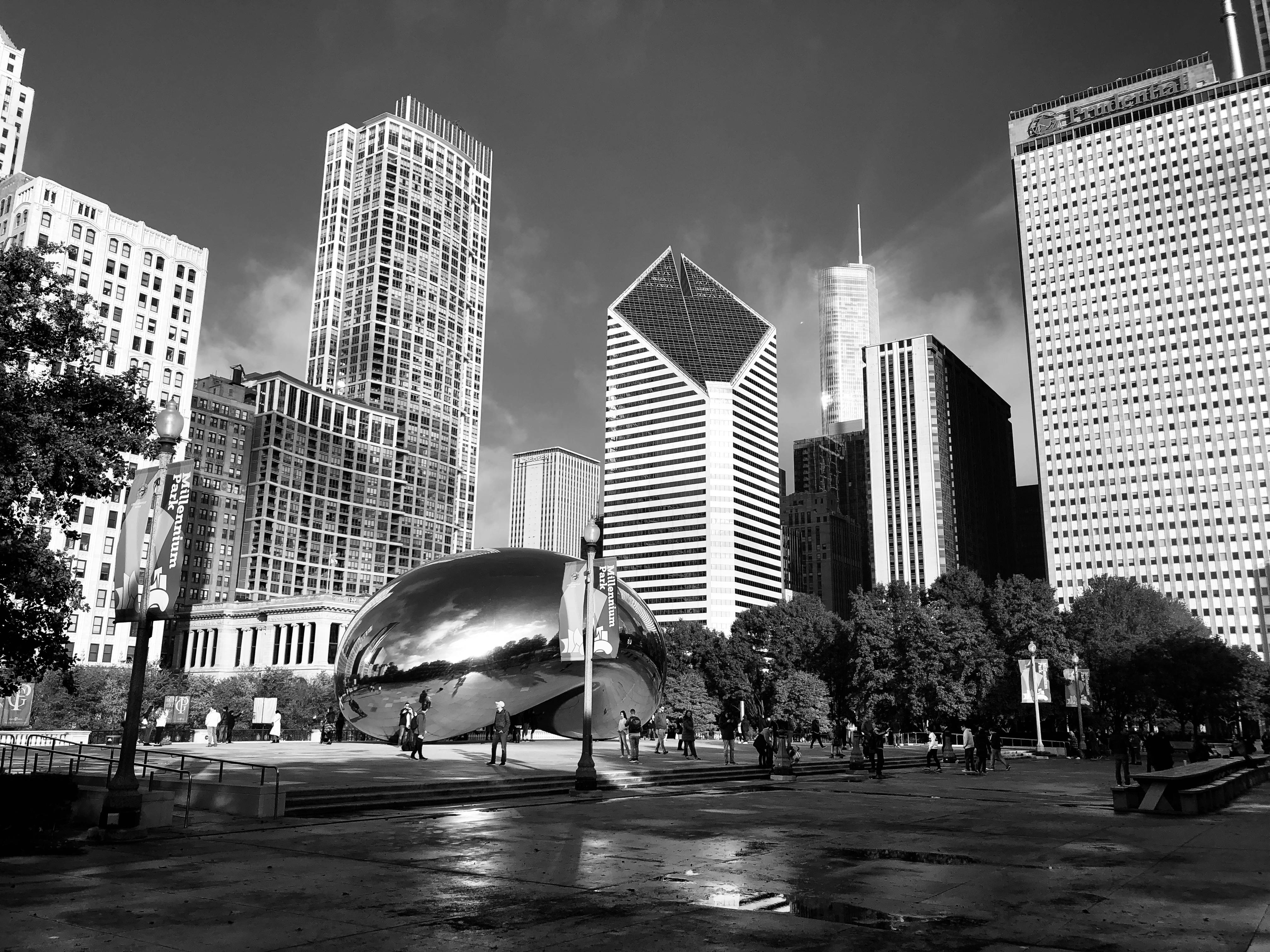 chicago bean black and white
