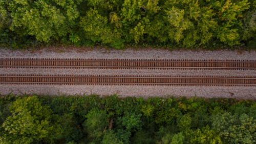 Drone view of empty straight railway tracks running between lush green trees on sunny day