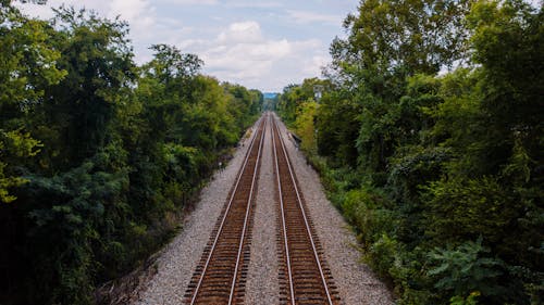 Railroad between green trees growing in forest