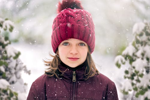 Fotos de stock gratuitas de abeto, adorable, al aire libre