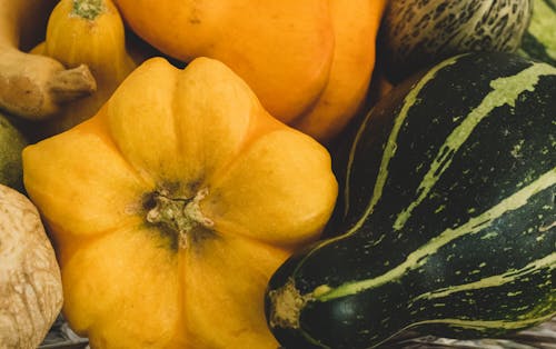 Close-up of Pumpkins Vegetables