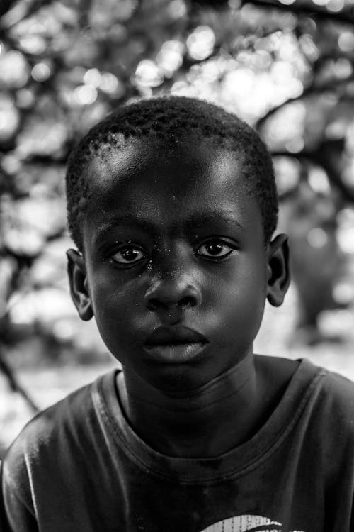 Foto d'estoc gratuïta de blanc i negre, cara, escala de grisos