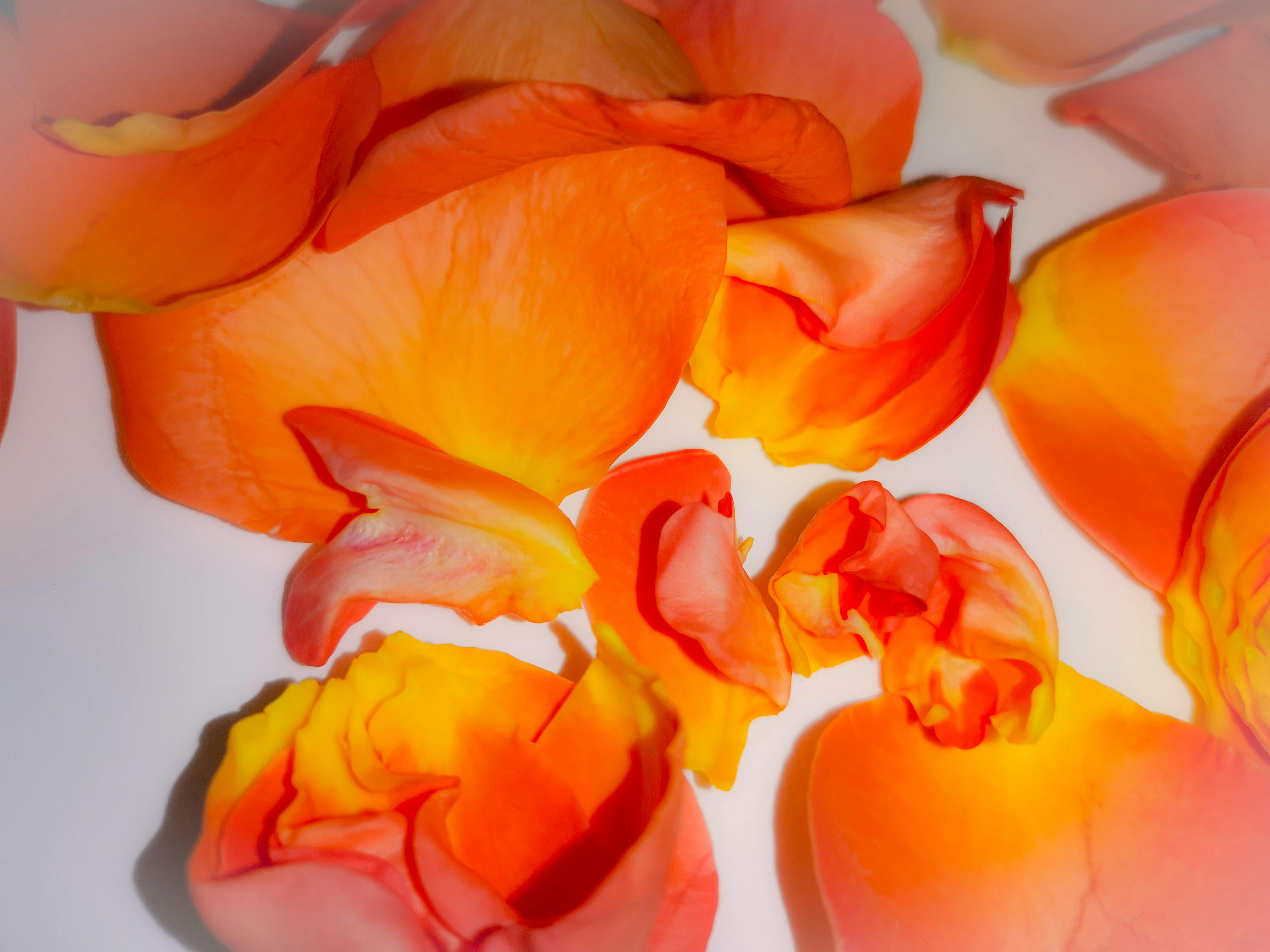 Flooded urban street with cars partially submerged in water after intense rainfall.