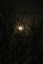 Sun in the Sky during Night Time