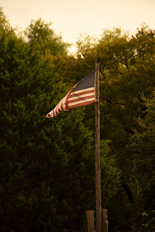 Foto d'estoc gratuïta de arbres, bandera d'estats units, capvespre