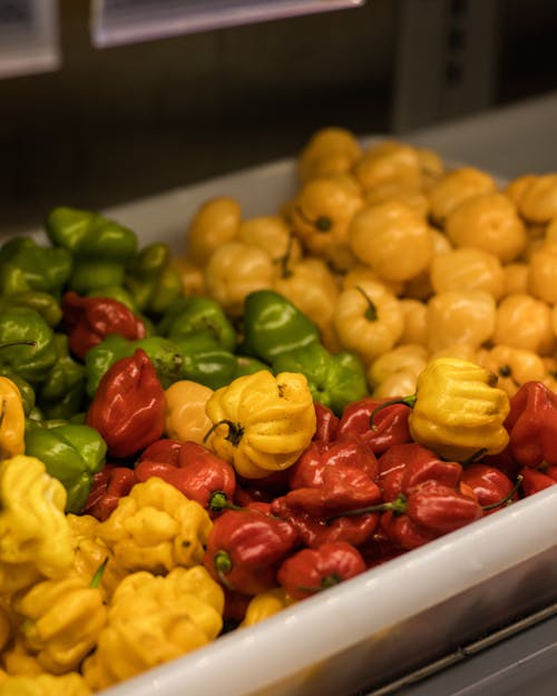 Free Variety Of Bell Peppers On Display Stock Photo
