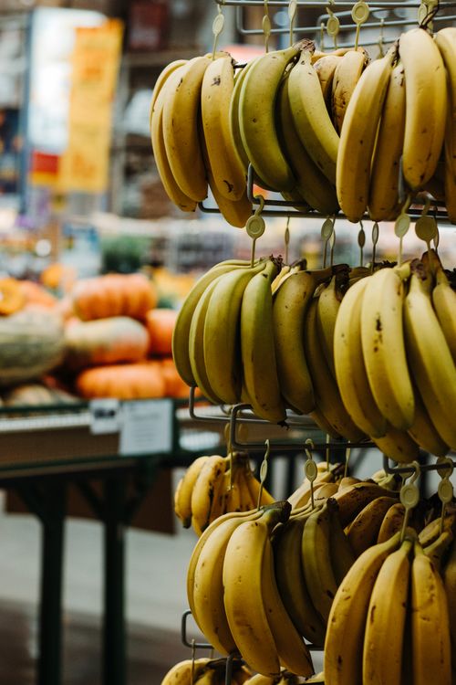 Free Hanging ripe bananas displayed at a vibrant Brazilian market on a sunny day. Stock Photo