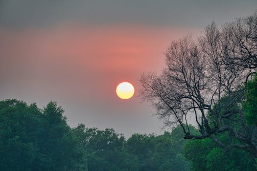 Captivating sunrise in Banten, Indonesia, highlighting lush greenery and a tranquil sky.