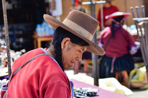 Woman with Braided Hair Wearing a Brown Hat
