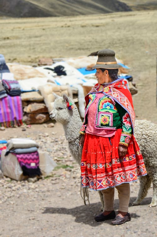 Photo of a Woman Standing with an Alpaca