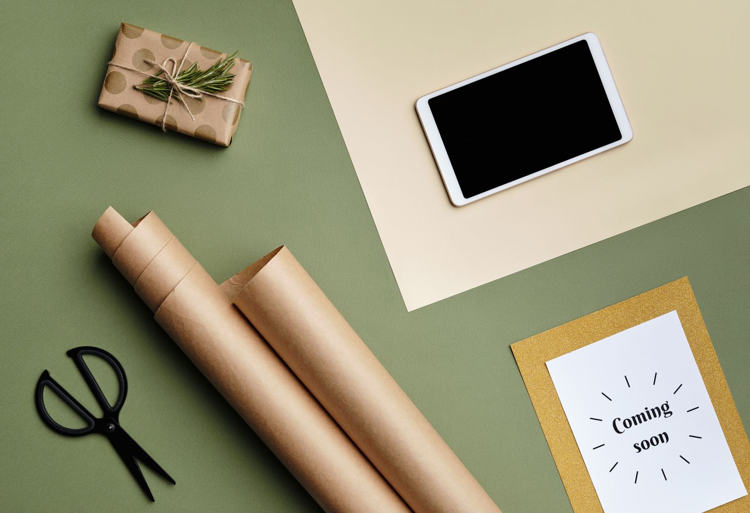 Lympstone — professional packers wrapping and boxing belongings