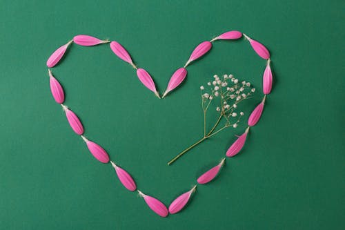 Free Heart Shaped Petals on Green Surface Stock Photo