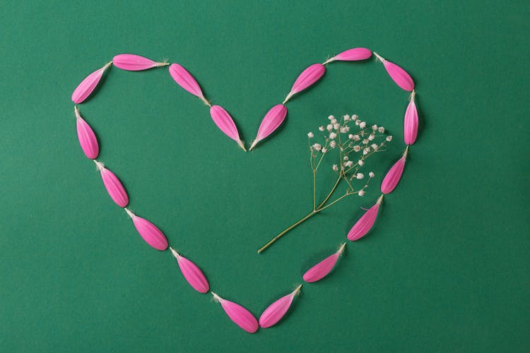 Heart Shaped Petals On Green Surface