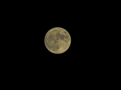 Free stock photo of moon, moon photo, moonlight