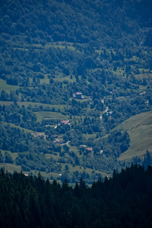 Mountain with trees and residential rural houses