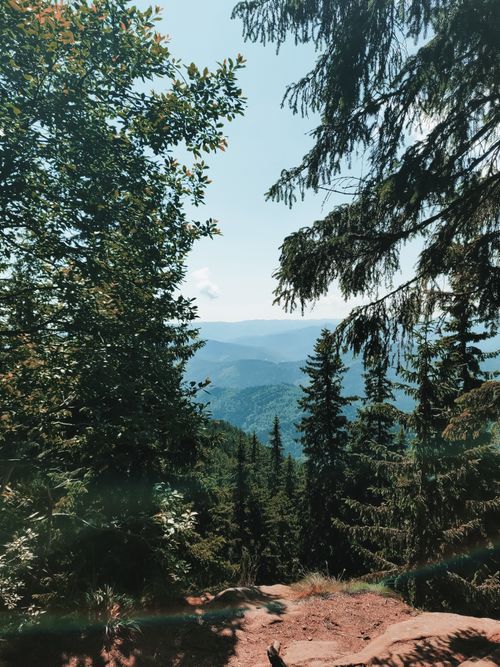Free From hilltop scenery of spacious hilly terrain covered with verdant lush forest under clear blue sky Stock Photo