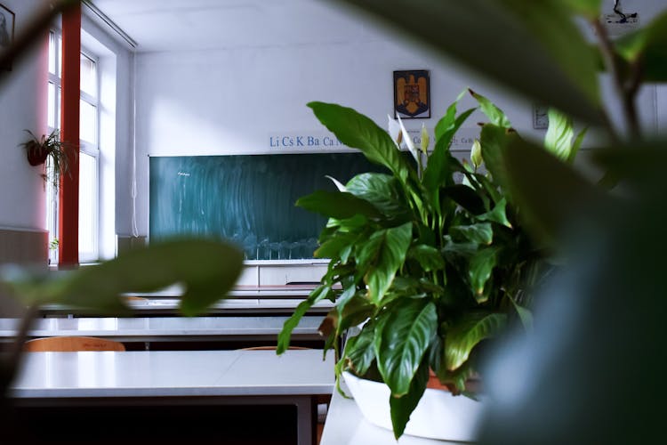 Empty Light Classroom With Blackboard And Desks