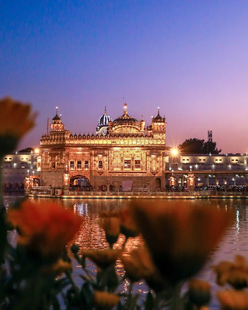 Blurred flowers in city street with illuminated golden church Sikh gurdwara near pond against sunset sky in night time in city in India