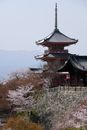 Brown and White Pagoda Temple Near Body of Water