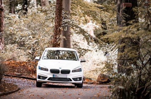 White Car Parked Near Trees