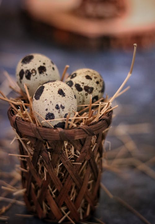 Quail Eggs on a Small Woven Basket