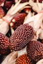 Red and Brown Fruit on White Textile