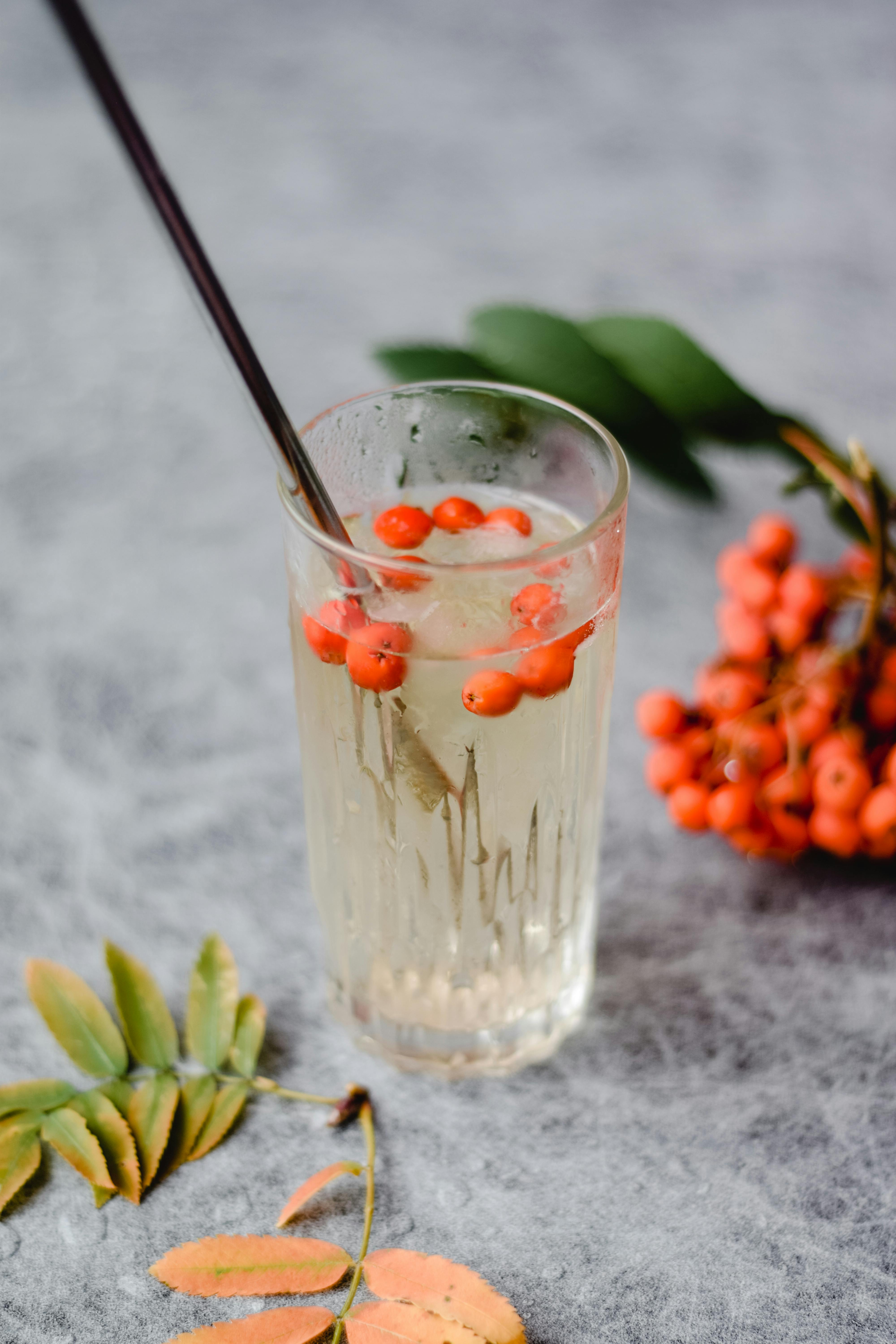 Fotobanka s bezplatnými fotkami na tému červené bobule, jarabina, jesenné bobule