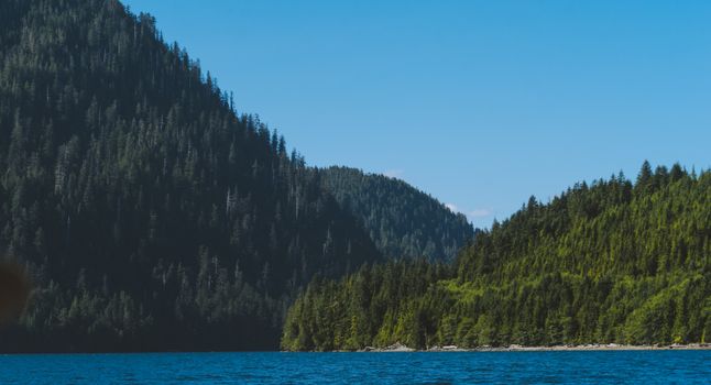 Breathtaking view of a fjord surrounded by lush forested mountains and clear blue waters.