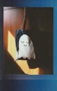 Halloween Tote Bag with Ghost