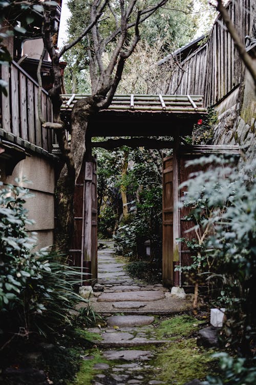 Pathway in Park