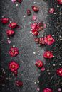 Red Petals on Black Concrete Floor