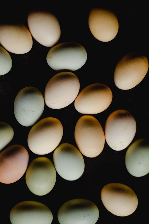 Eggs on Black Background