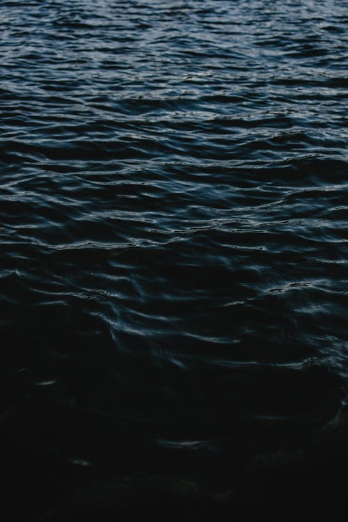 Foto d'estoc gratuïta de blau profund, fosc, mar